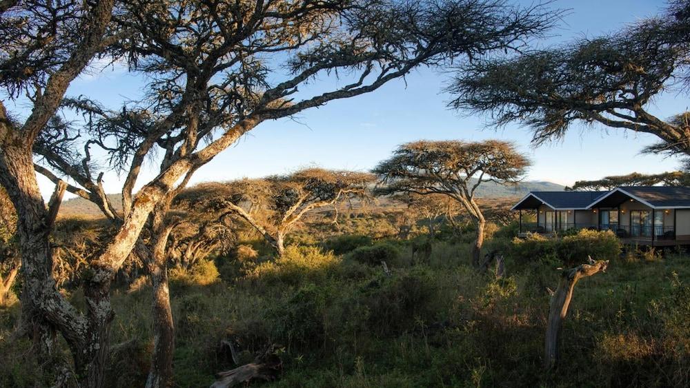 Karibu Camps And Lodges Lions Paw Ngorongoro Karatu Dış mekan fotoğraf